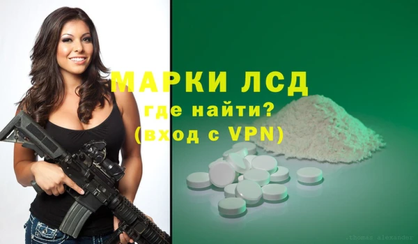 спайс Нея