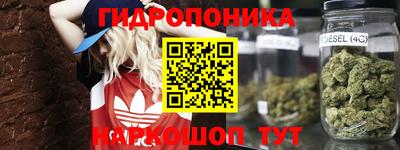 кокаин Кингисепп